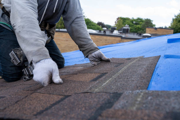Best Shingle Roofing Installation  in De Kal, TX