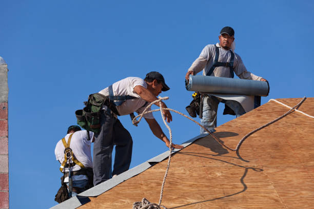 Best Roof Leak Repair  in De Kal, TX