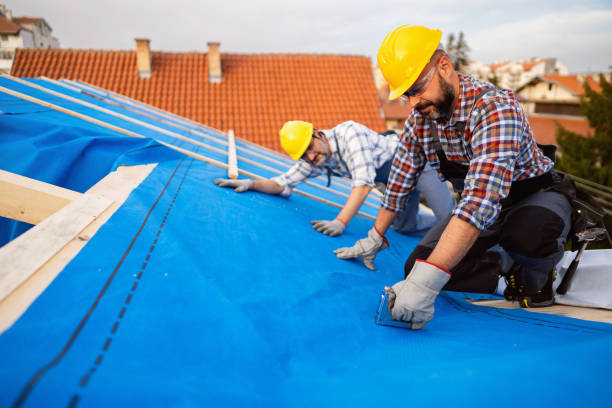 Best Gutter Installation and Roofing  in De Kal, TX
