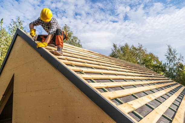 Best Sealant for Roof  in De Kal, TX