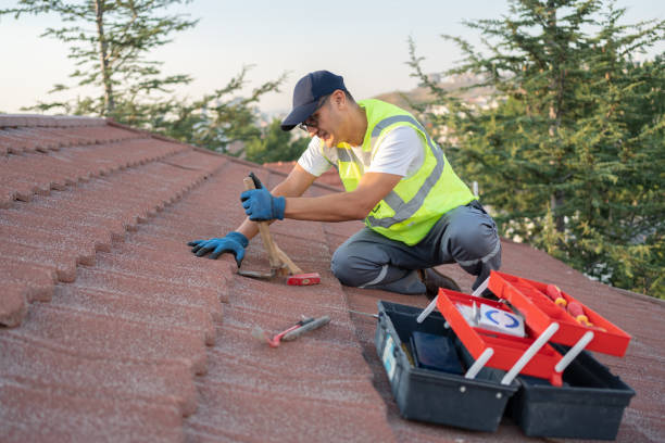 Best Sealant for Roof  in De Kal, TX